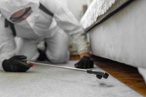 Professional Bed Bug Control technician working in Lindenhurst, IL